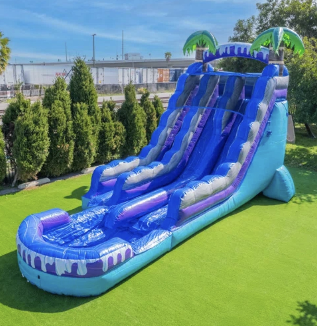 Coming Soon 19FT Tropical Deep Sea Dual Lane Slide 