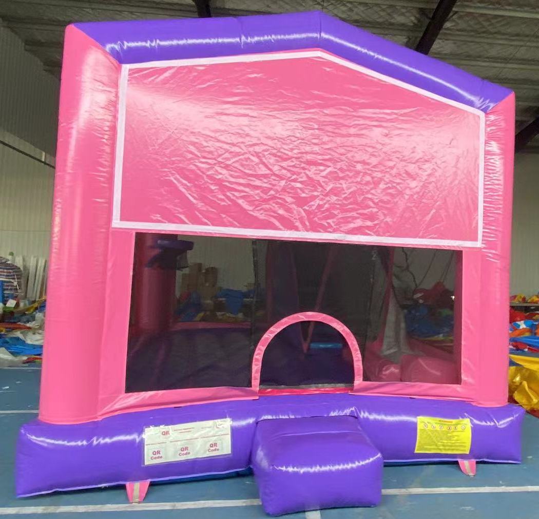 Pink & Purple Interactive Combo Regular