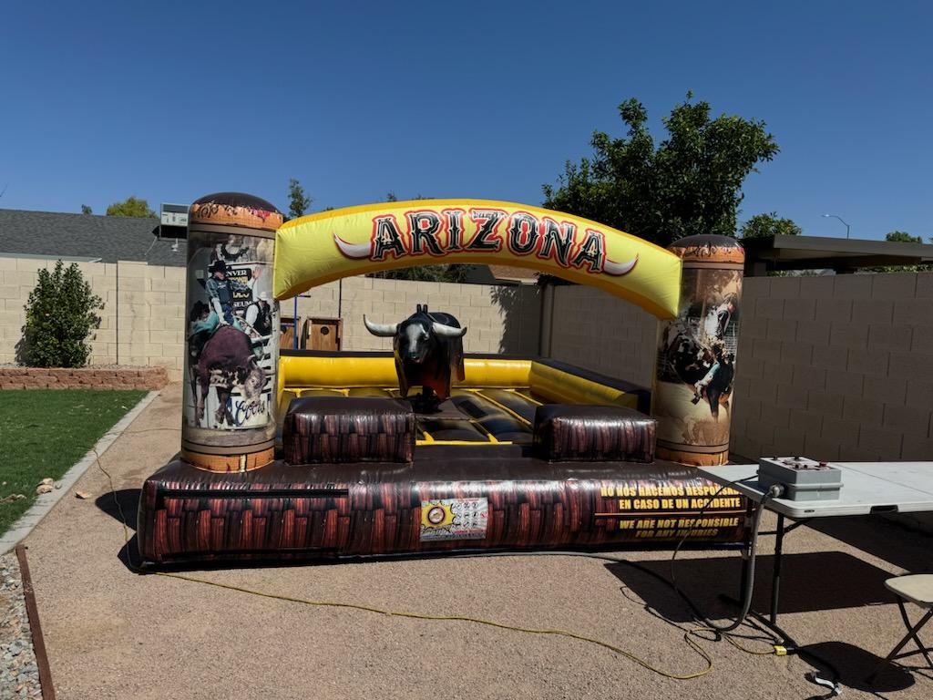 Mechanical bull