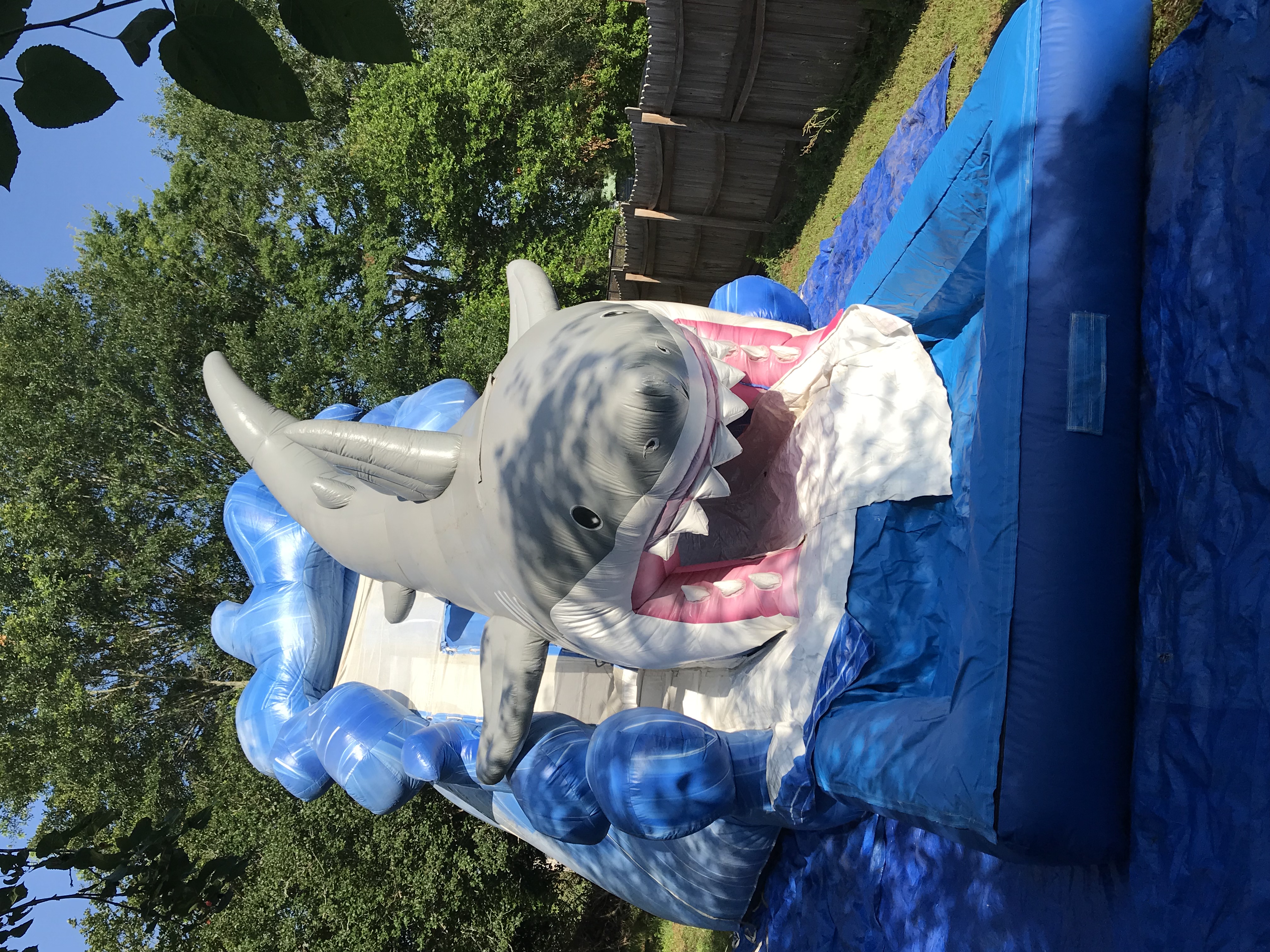 Shark Waterslide
