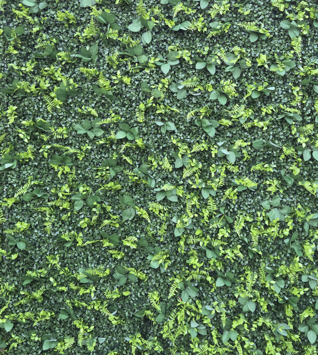 Green Wall Backdrop in Ocean Isle Beach