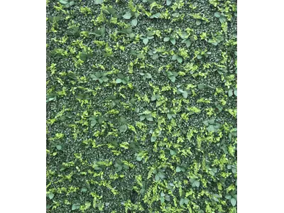 Green Wall Backdrop in Ocean Isle Beach