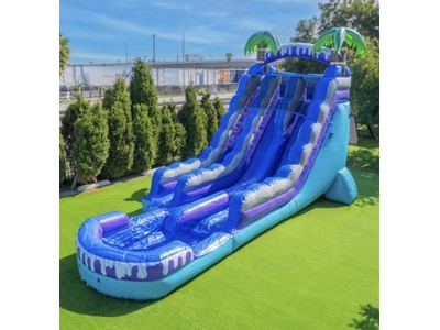 New  19FT Tropical Deep Sea Dual Lane Slide Now available for rent !