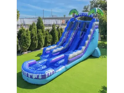New  19FT Tropical Deep Sea Dual Lane Slide Now available for rent ! in NRH