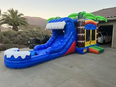 Palm Tree Bounce House with Water Slide in La Mesa