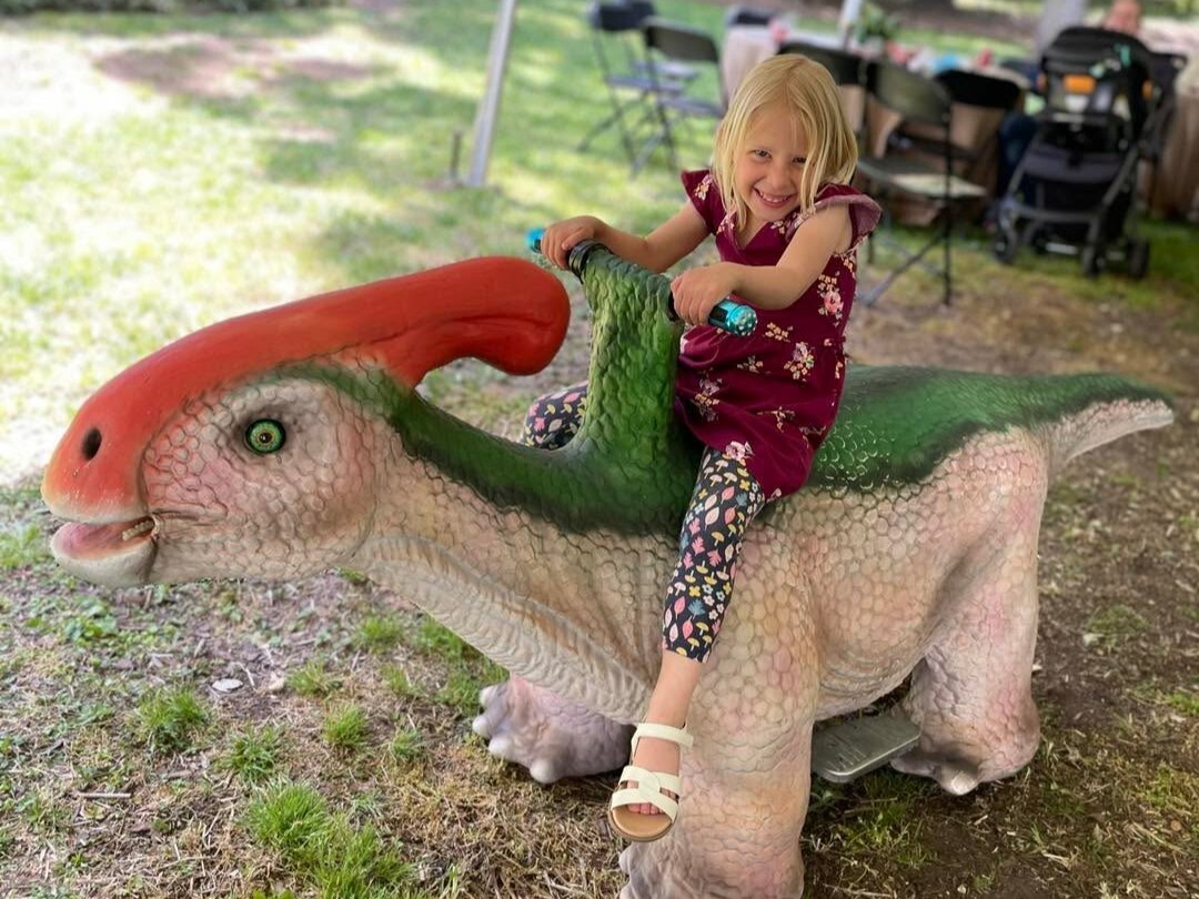 Basic Dino Encounter Bday Package