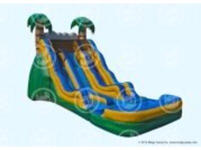 #317 18 Tropical dual