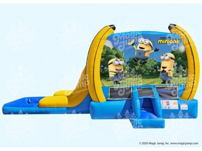 Despicable Me Combo dry