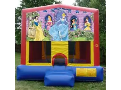 Disney Princess Panel in Burley