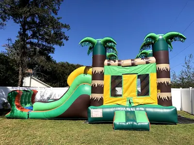 Tropical Combo with Slide #256D in winter garden