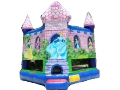 Princess Castle Deluxe Clubhouse in Douglasville