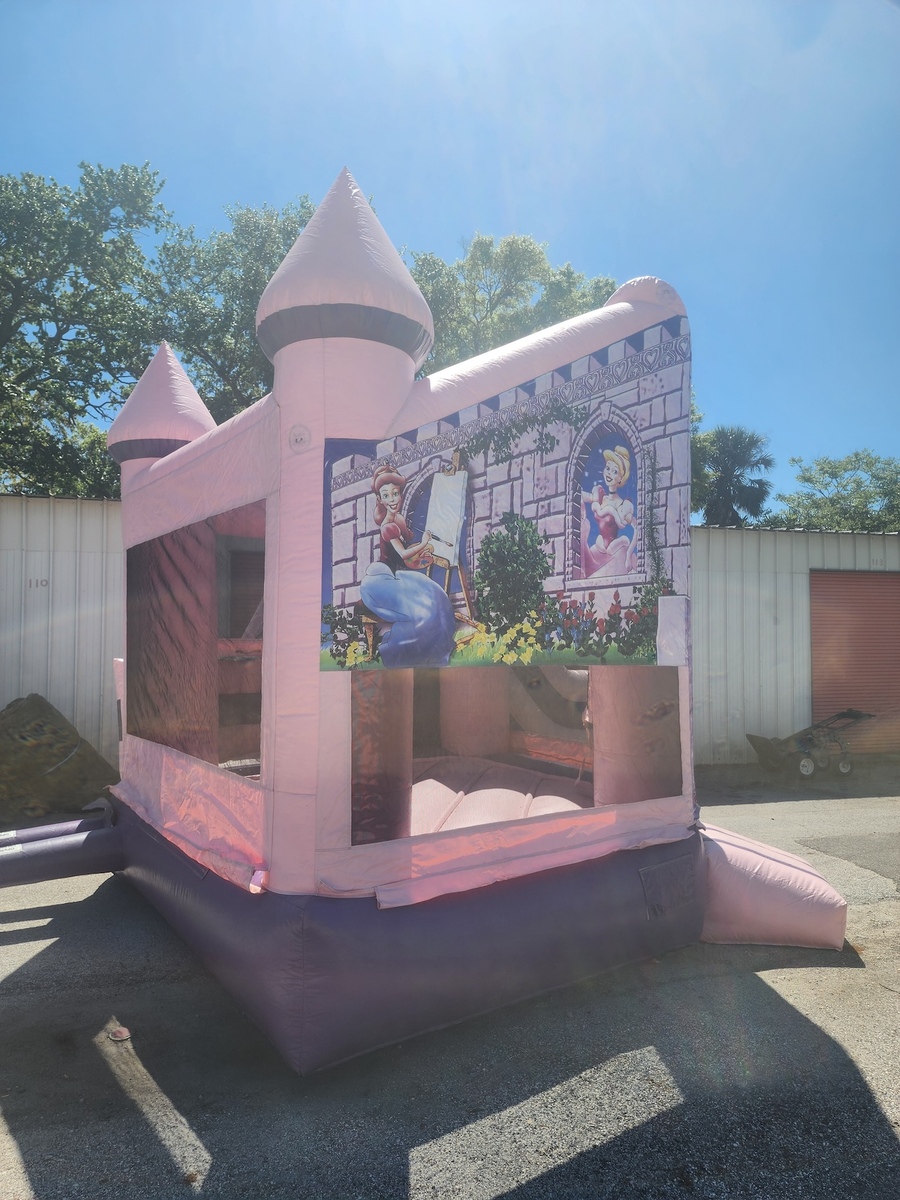 Princess Castle Combo (Dry Only)