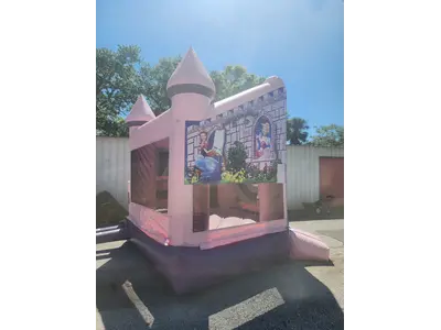 Princess Castle Combo (Dry Only)