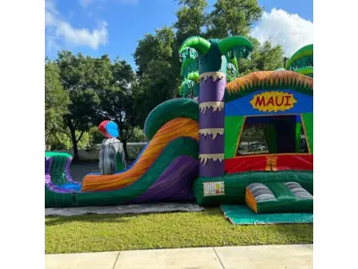 Maui Combo Dry #268D in Azalea Park