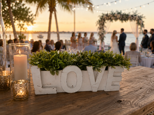 LOVE Sign - Very Small - White - Wood - 12" x 5"
