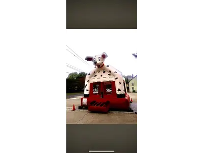 DALMATIAN DOG BOUNCE