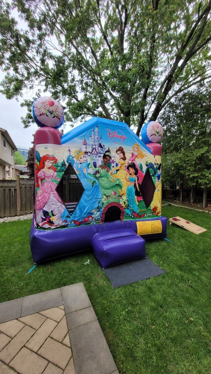 Princess Bouncy Castle in Waterloo