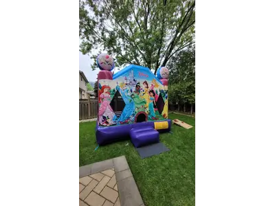 Princess Bouncy Castle in Waterloo