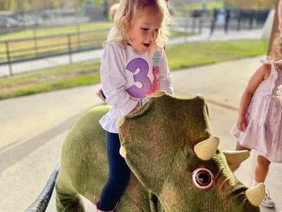 Basic Dino Encounter Bday Package