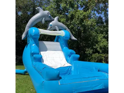18' Dolphin Splash Waterslide #503 in meadow wood