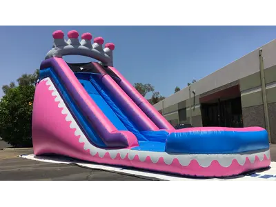 20'ft Princess Water Slide in Phoenix
