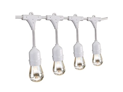 24' 12 Bulb White Outdoor String Lights