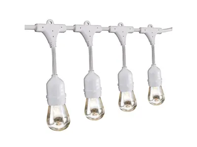 24' 12 Bulb White Outdoor String Lights in Dennisville