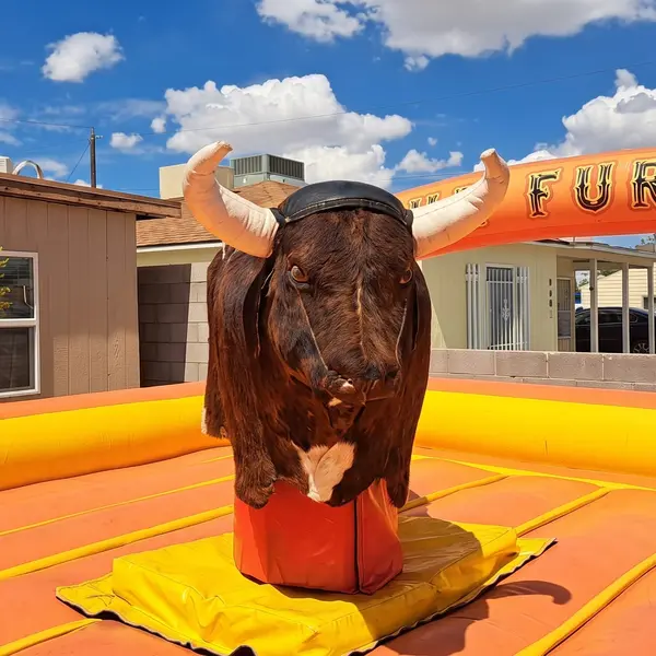 Mechanical Bulls