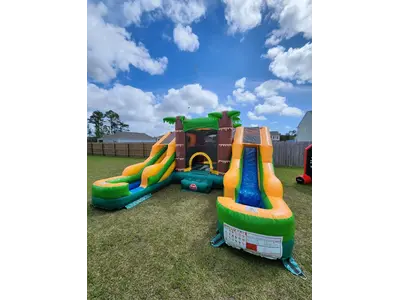 Palm Tree Bounce House/Water Slide Combo in Ocean Isle Beach