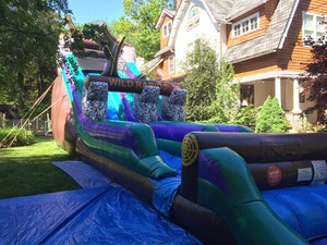 Wild Rapids