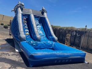 16ft Dolphin Water Slide (Double Lane)