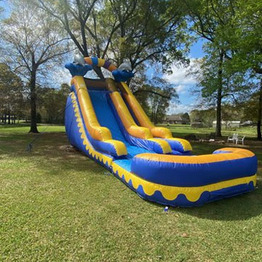 SLIDES