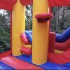 Mickey Park Combo #136 in Windermere