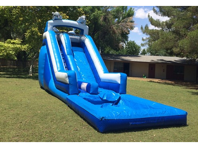 17ft Dolphins Deep Pool Water Slide