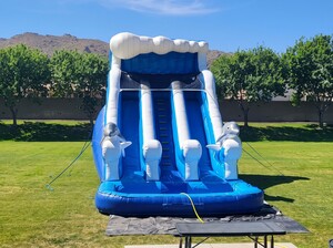 20ft Dolphin Water Slide (Double Lane)
