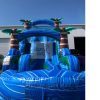 19' Tropical Double Lane Waterslide #704 in Azalea Park