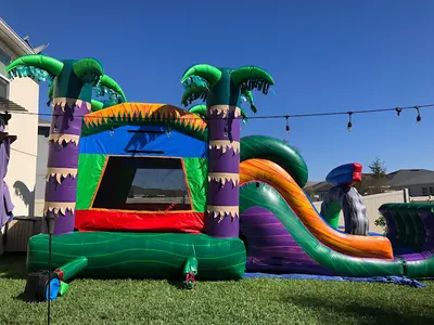 Maui Combo Dry #268D in Azalea Park