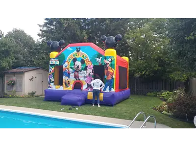 Mickey Mouse in Guelph