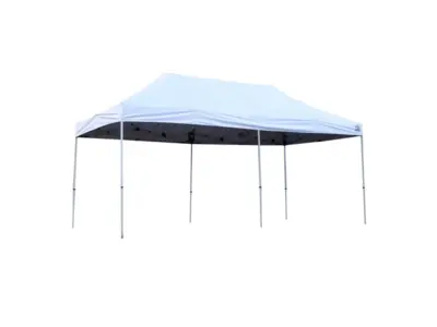 10x20 Canopy Tent in Royal Oak