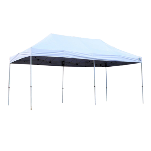 10x20 Canopy Tent in Royal Oak