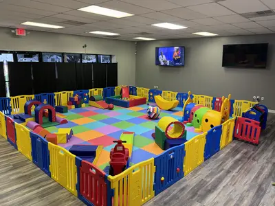 Toddler Inflatable Play Park in Madison Heights