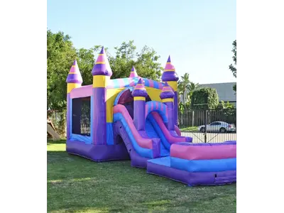 Princess water slide bounce house Combo in whitehall