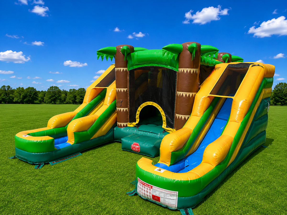 Mini Tropical Dual Slide in Oklahoma City