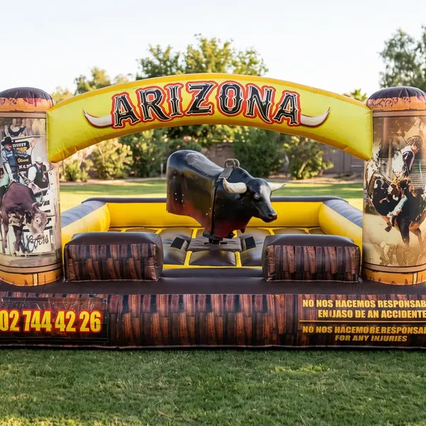 Mechanical Bulls