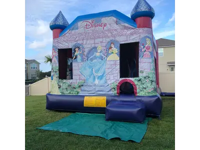 Disney Princess Combo #602 in college park