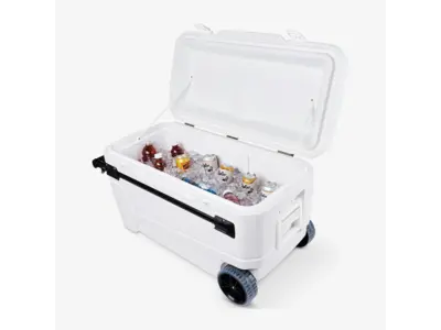 Large Cooler in Hazel Park