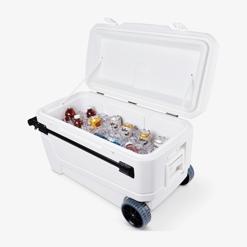Large Cooler in Hazel Park