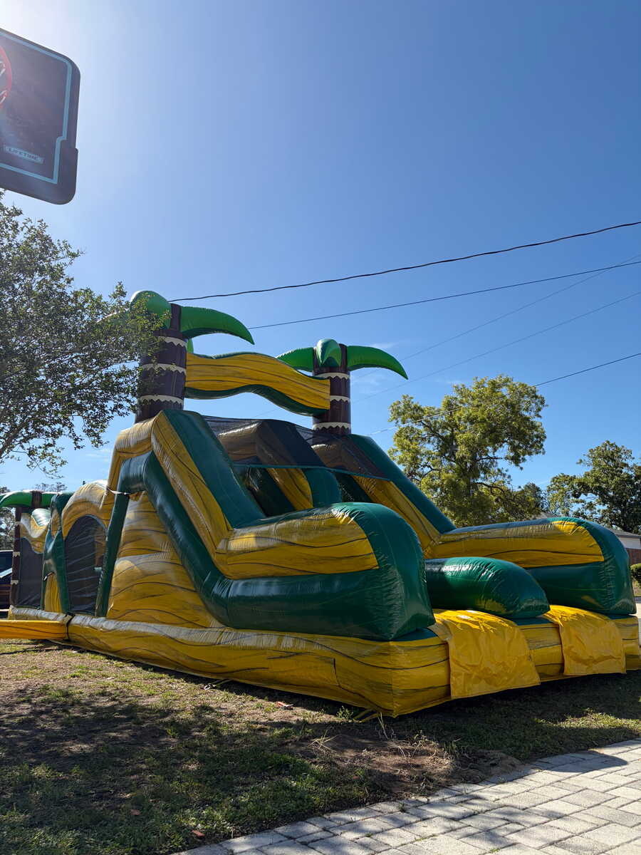 bounce tropical in Springhills