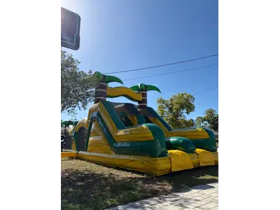 bounce tropical in Springhills