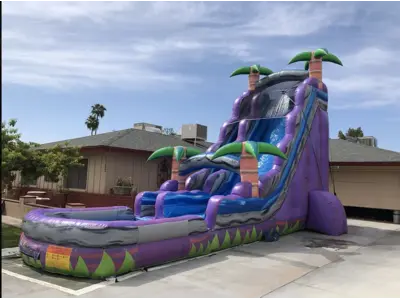 27 Ft tall Purple Tropical in Phoenix